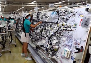 công ty hoa sơn tuyển dụng nhân viên lập trình